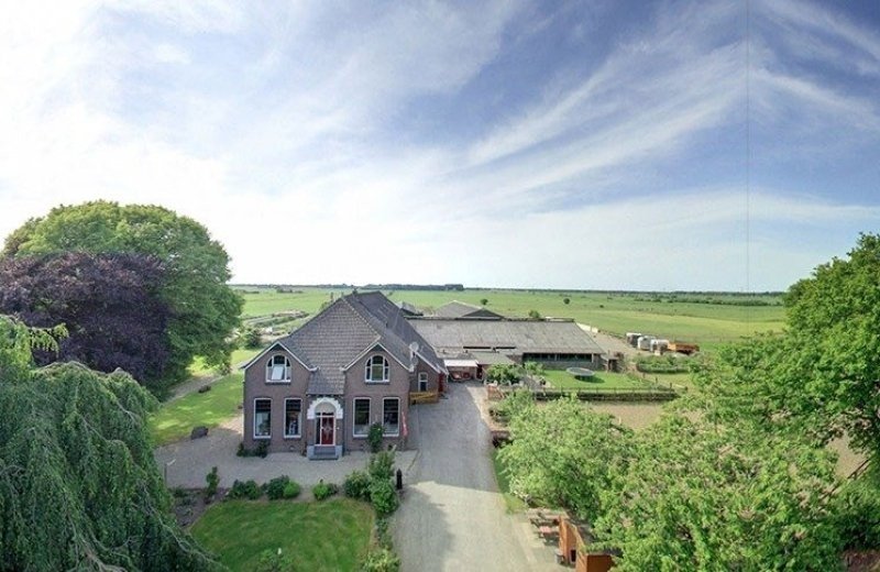 Eis bei Hoeve Bosman